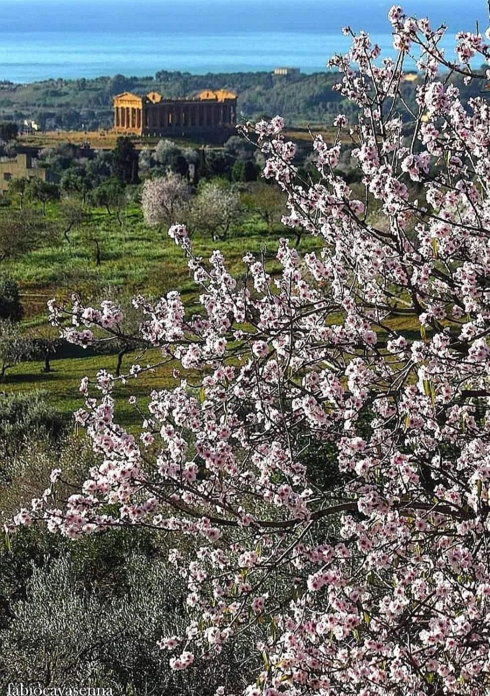 Casa Vacanze Villa Eolo Agrigento Buitenkant foto